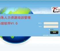 管理軟件開發、銷售與計算機系統集成服務的綜合解析