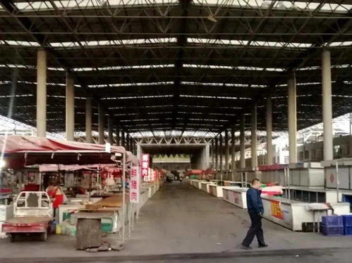 汶上街道新中都農貿市場與順富醫藥共譜食品安全新篇章，順利通過省級規范提升驗收