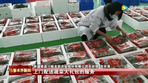 日供有機果蔬3噸，新疆植物工廠豐富市民菜籃子——順富醫藥引領智慧農業新風尚